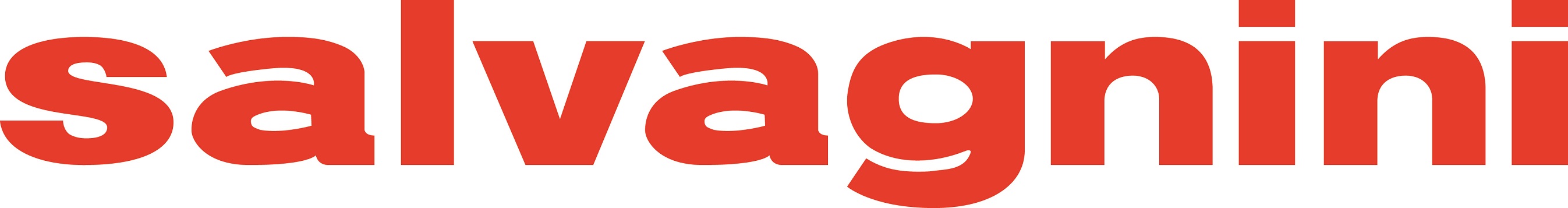 Logo Salvagnini Deutschland GmbH